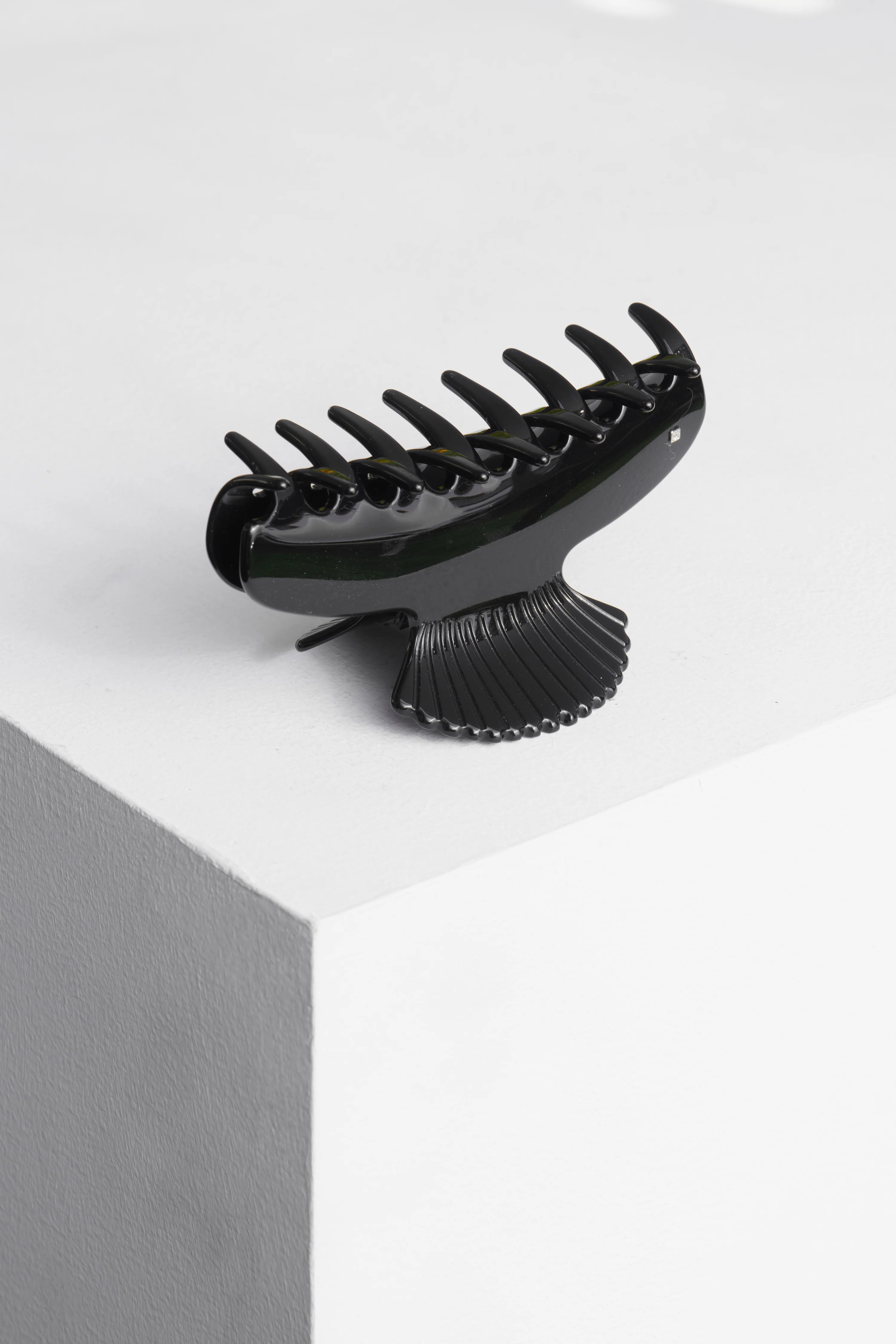 Fan Shell Claw - Image 3