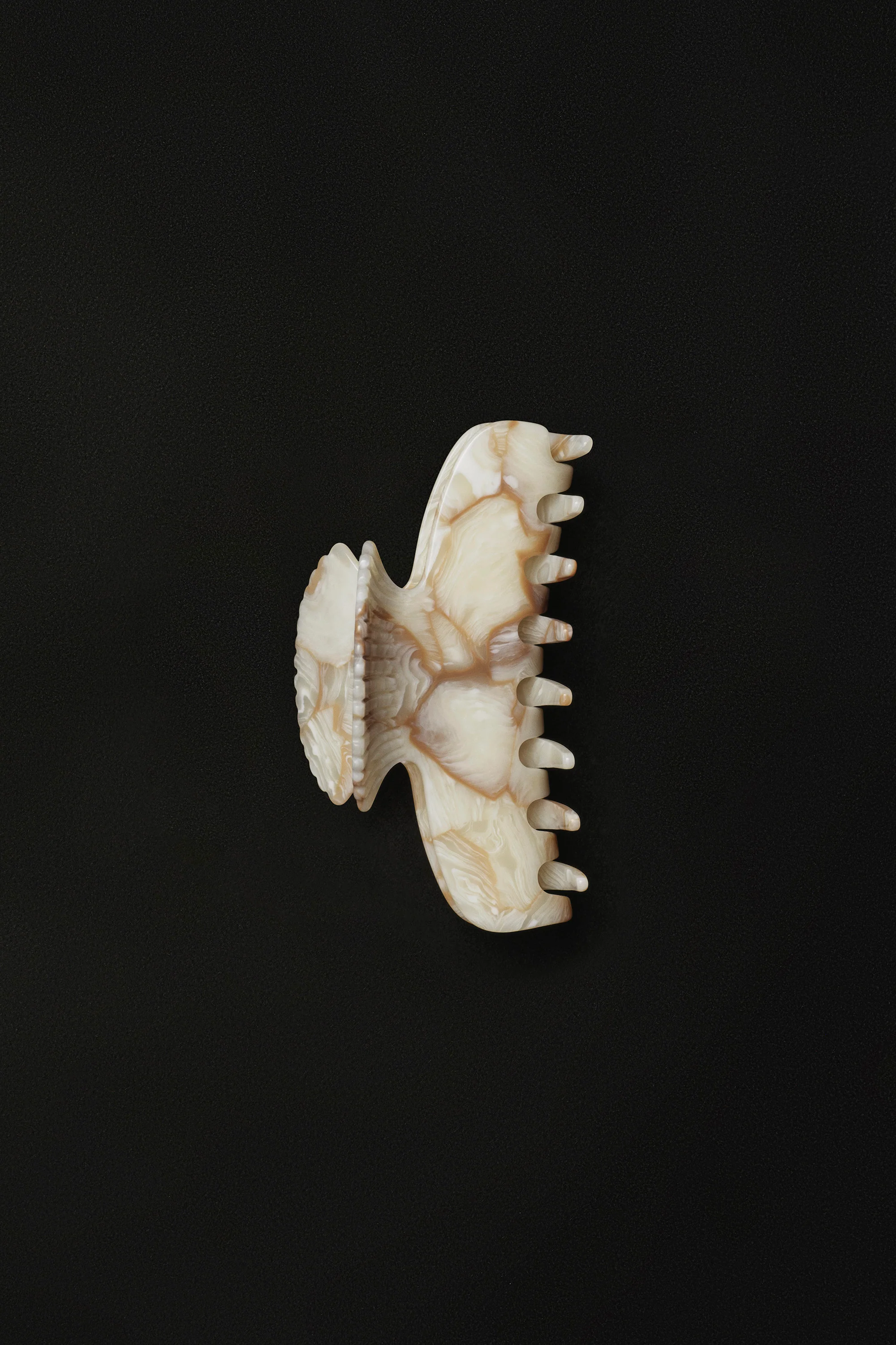 Fan Shell Claw in Alabaster