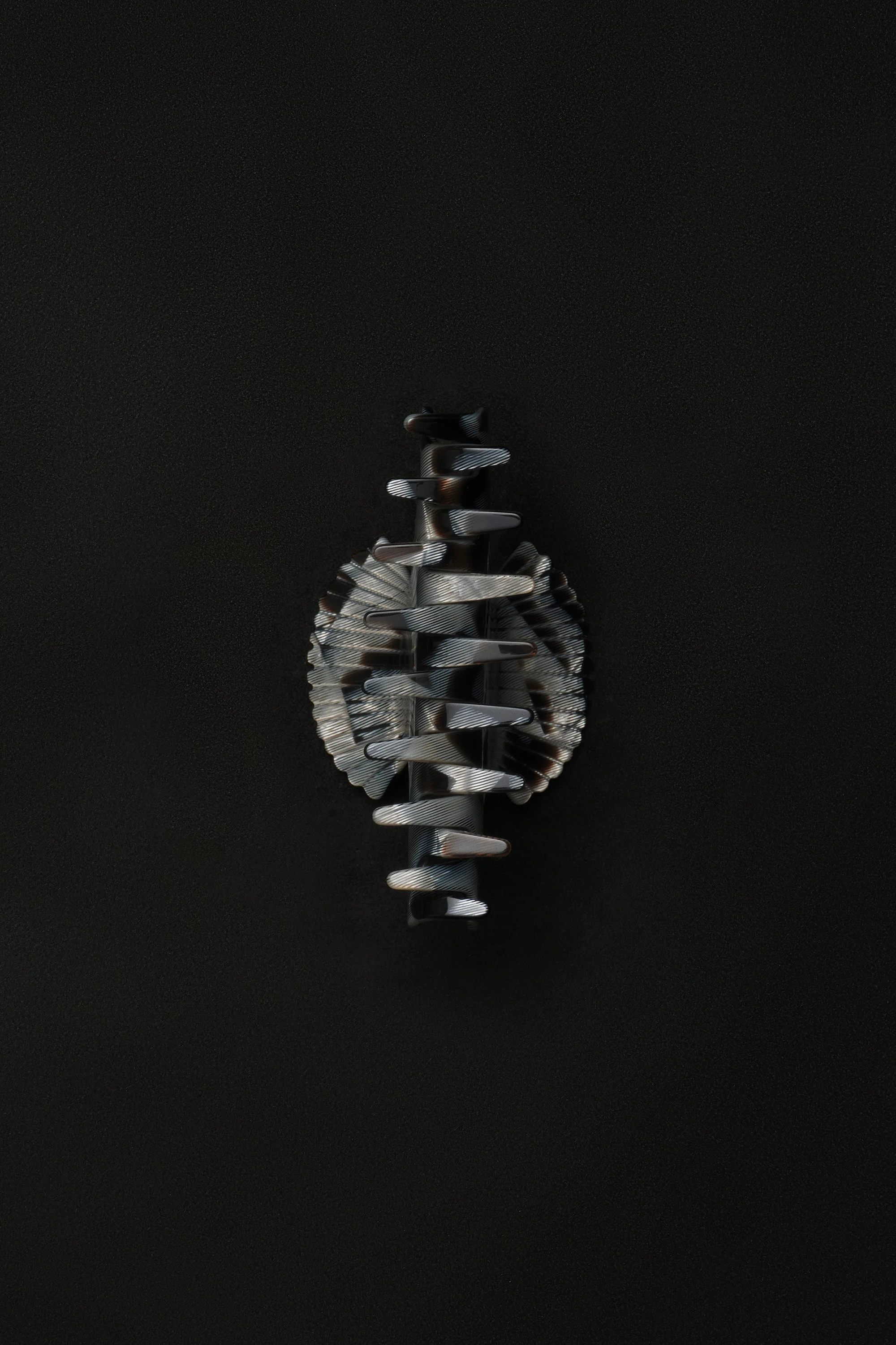 Fan Shell Claw in Tesserae - Image 2