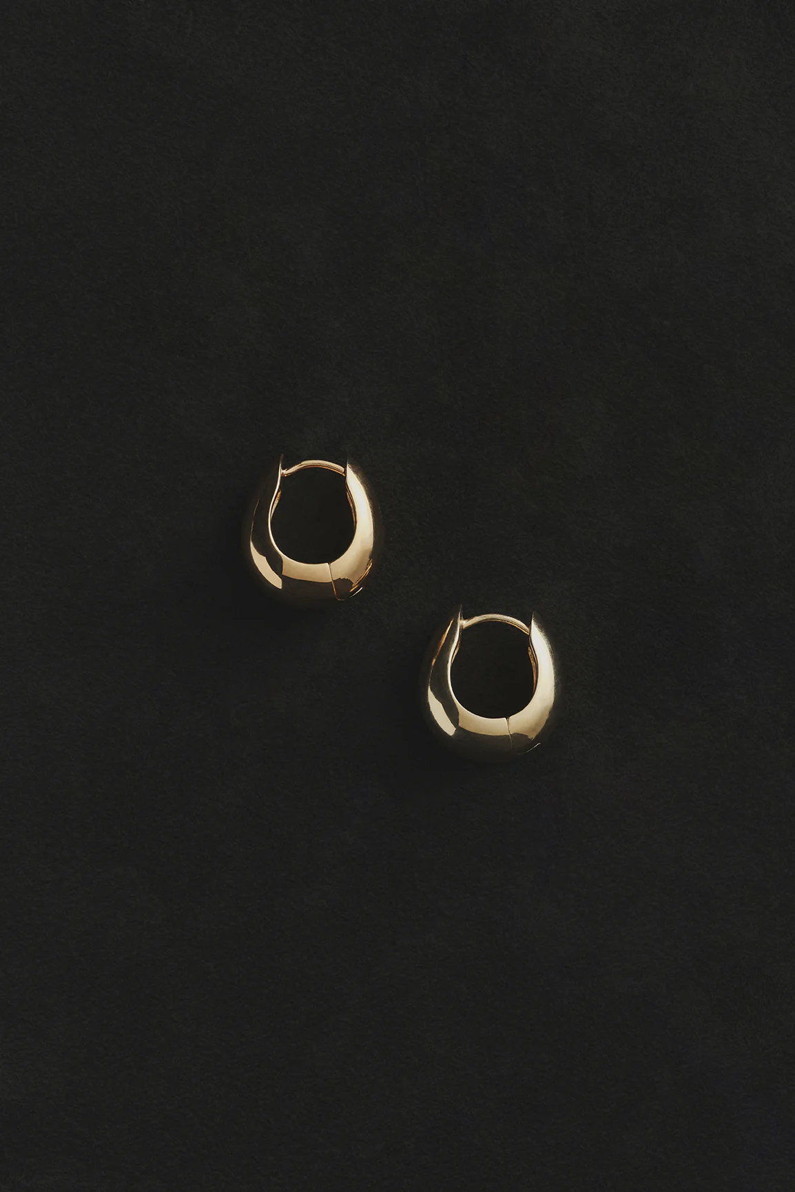 Hinged Hoops - Image 3