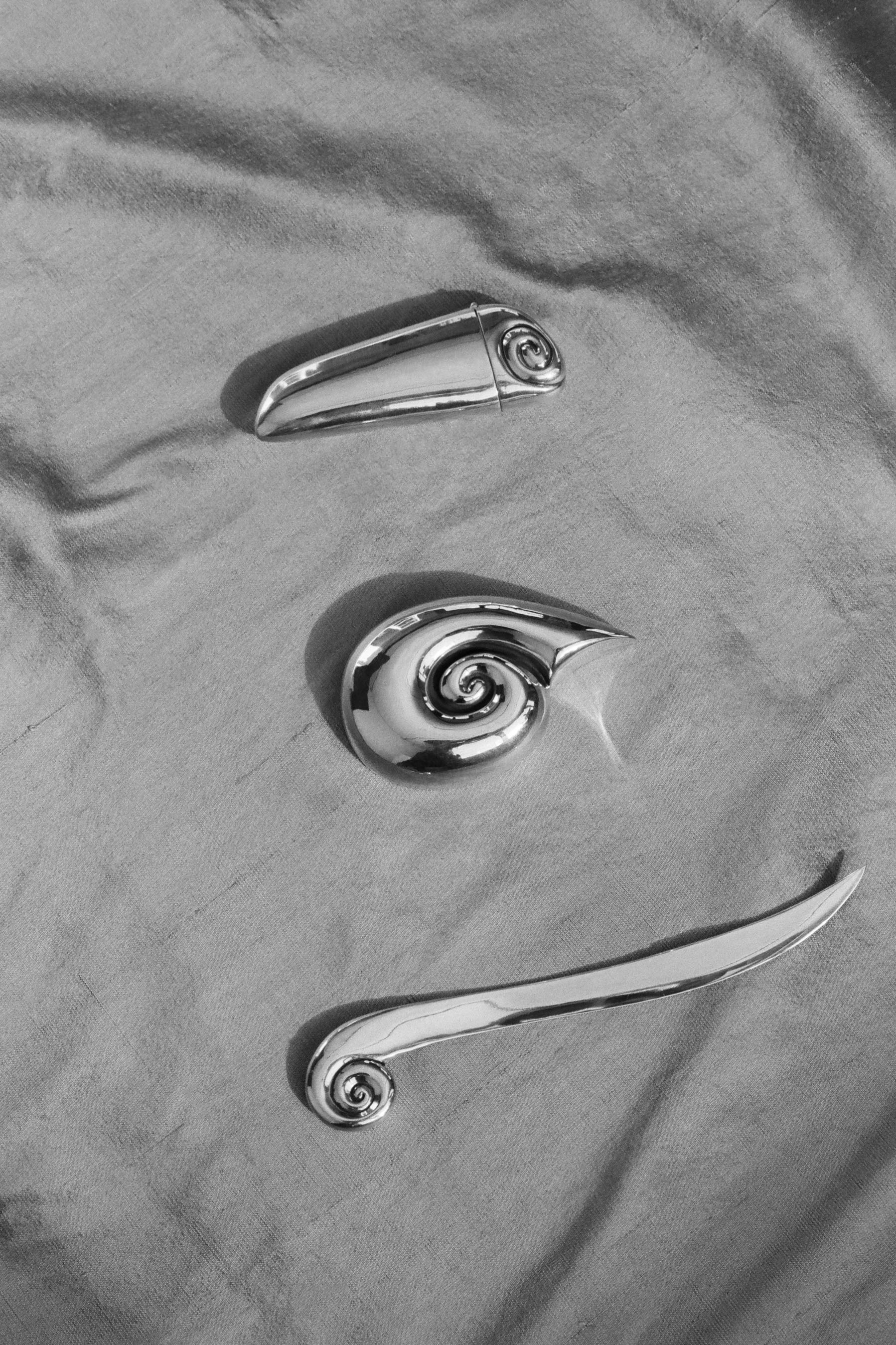 Nautilus Case - Image 3