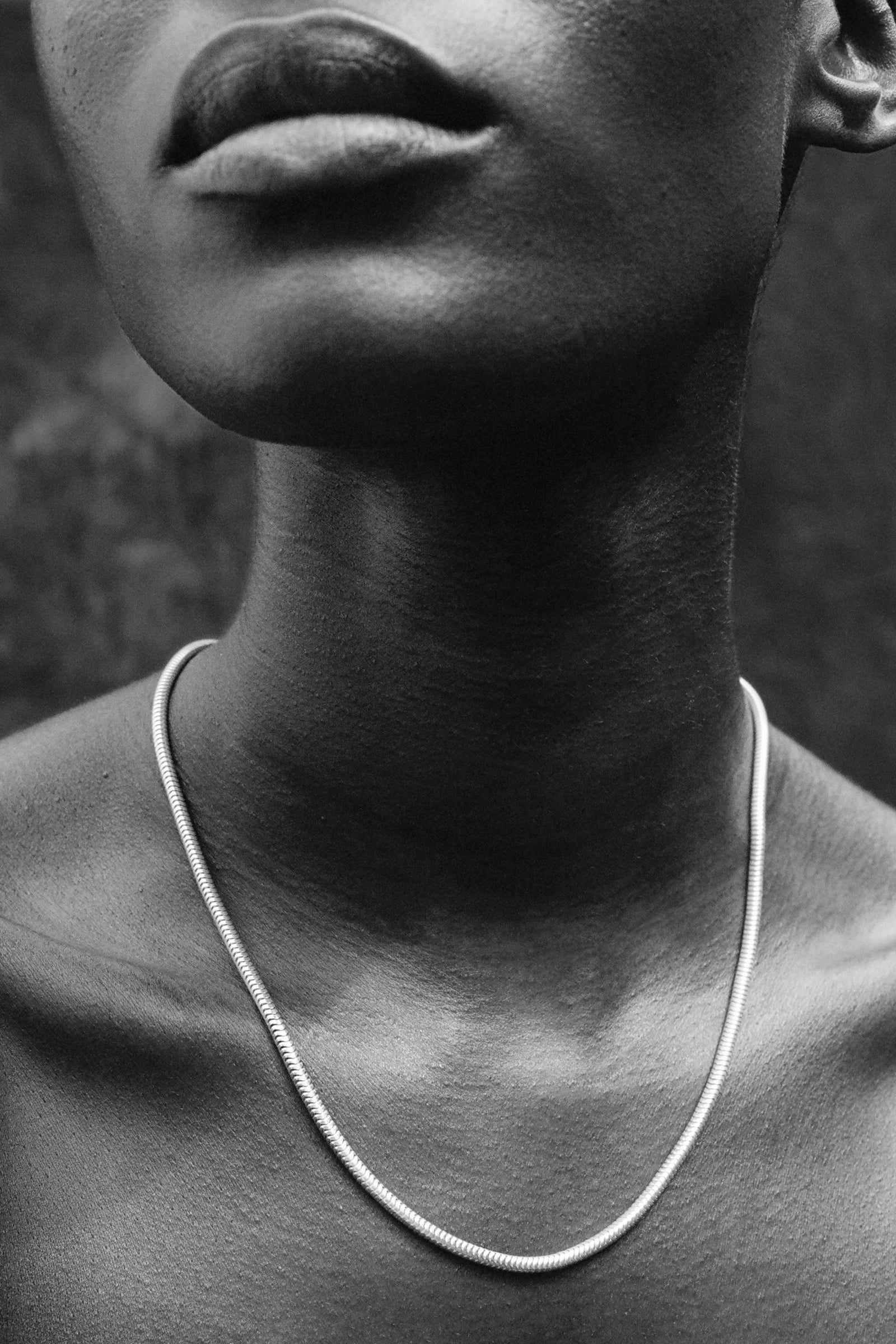 Serpent Chain, 18in