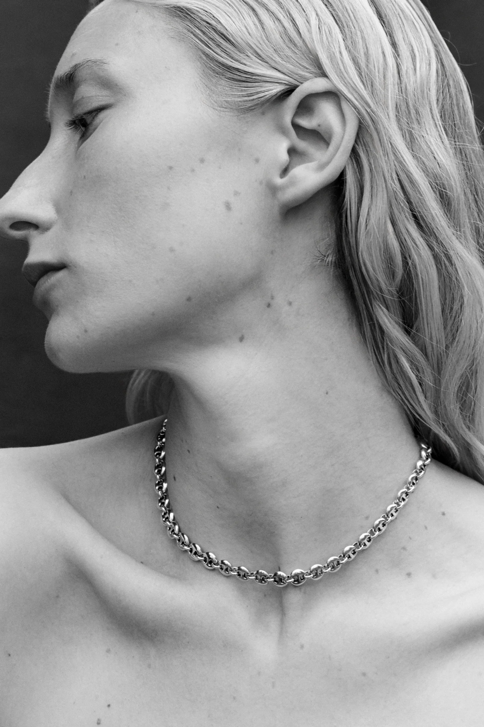 Small Circle Link Choker - Image 4
