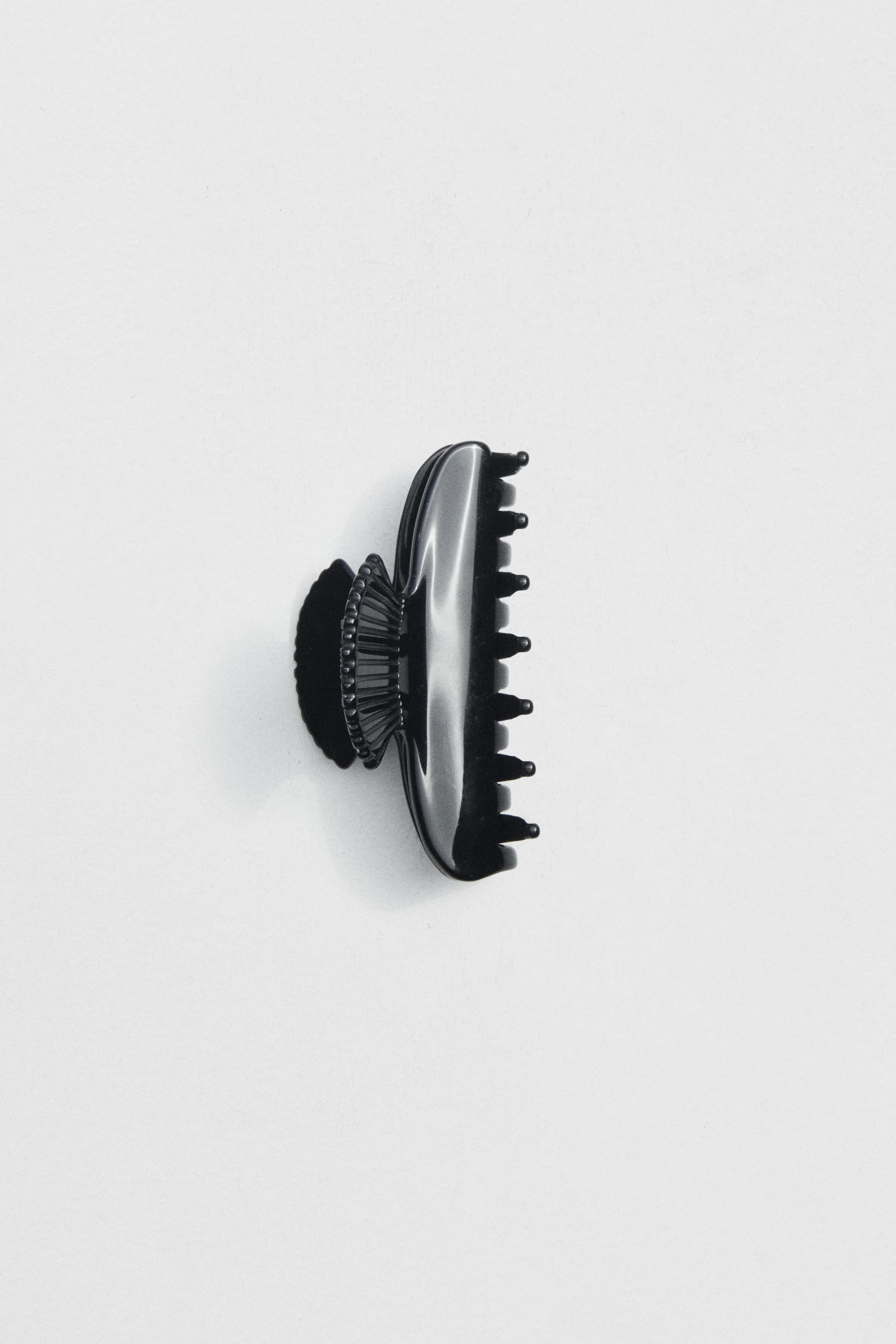 Small Fan Shell Claw - Image 3