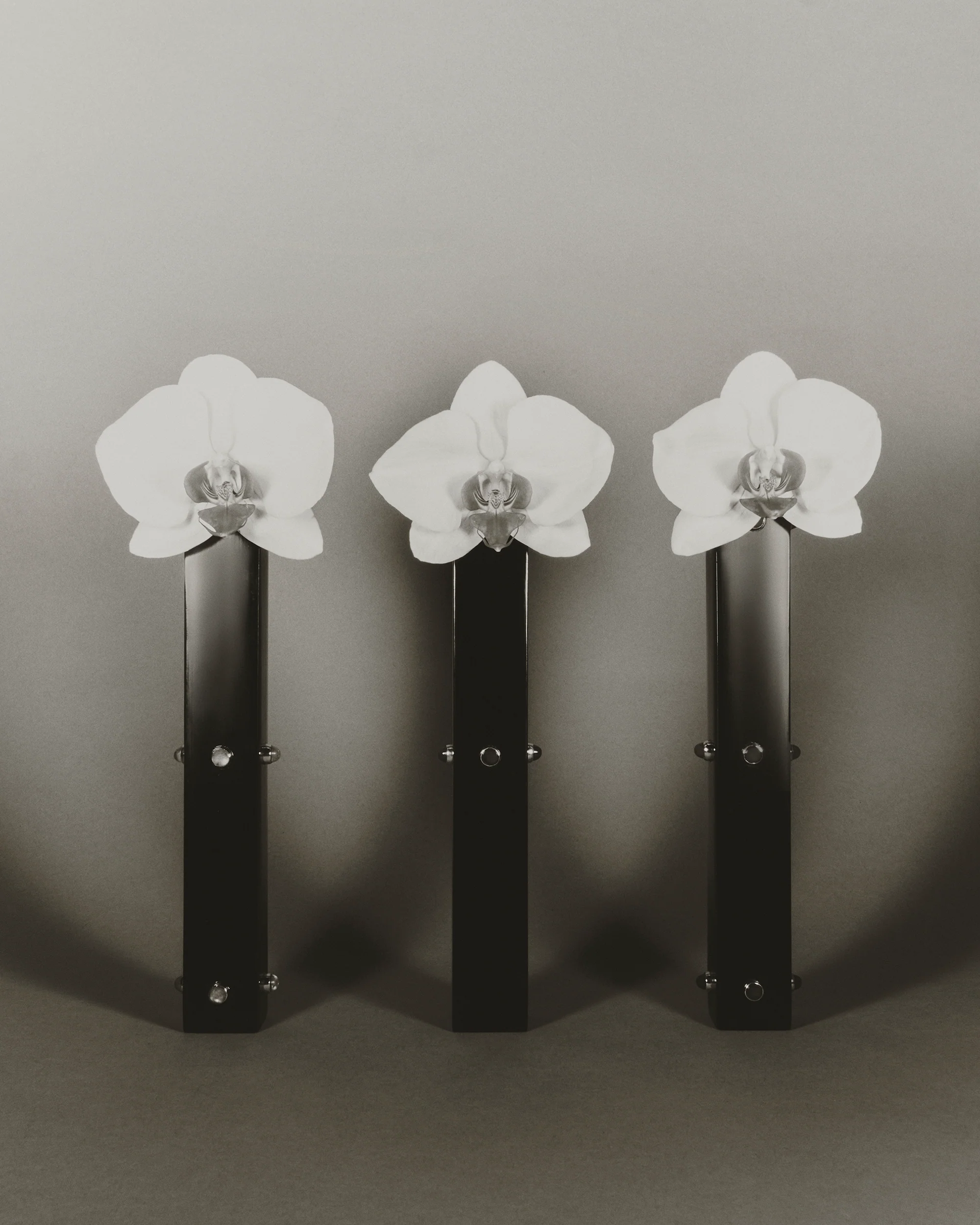 Three Sisters Bud Vase, Carnelian - Image 6