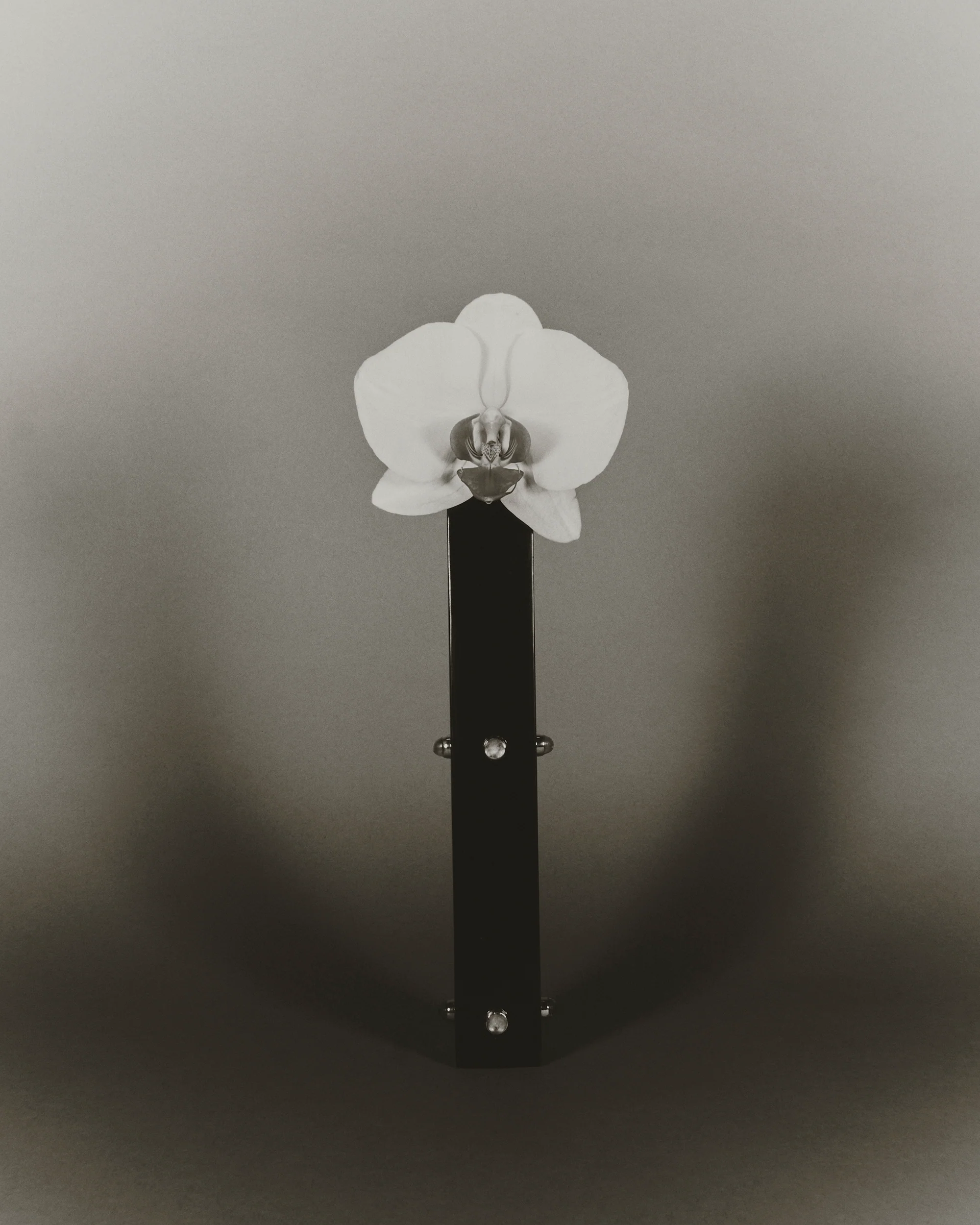 Three Sisters Bud Vase, Moonstone - Image 6